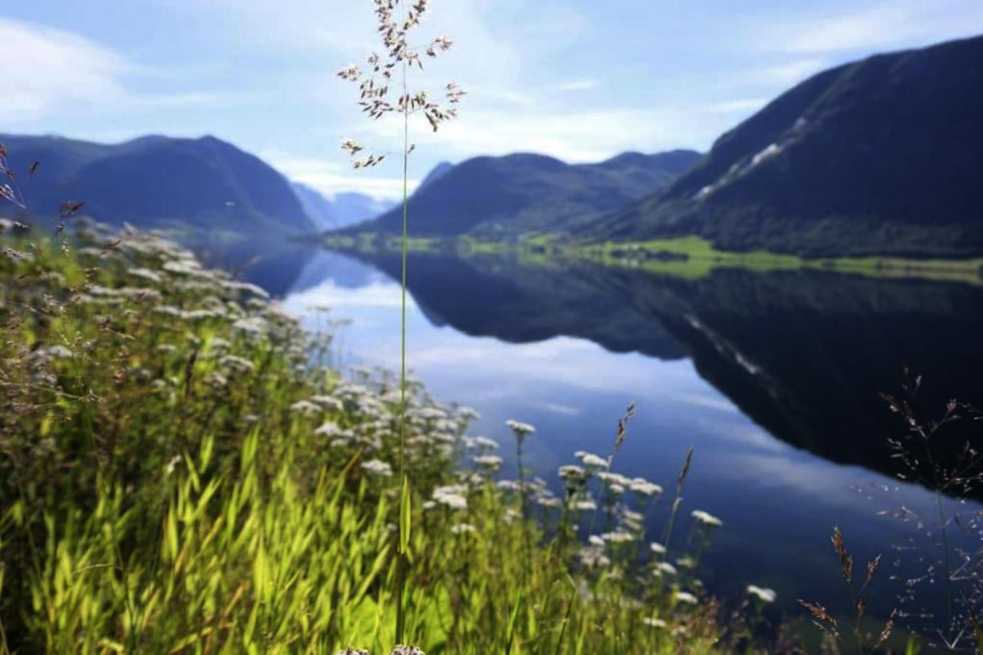 Jolster Lake View Ardal  Ngoại thất bức ảnh
